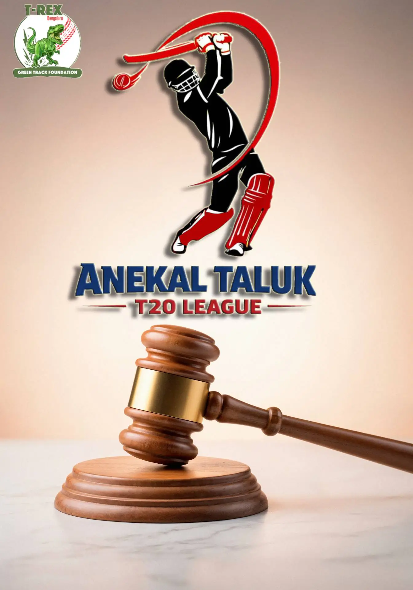 wooden-gavel-sound-block-legal-symbol (1)